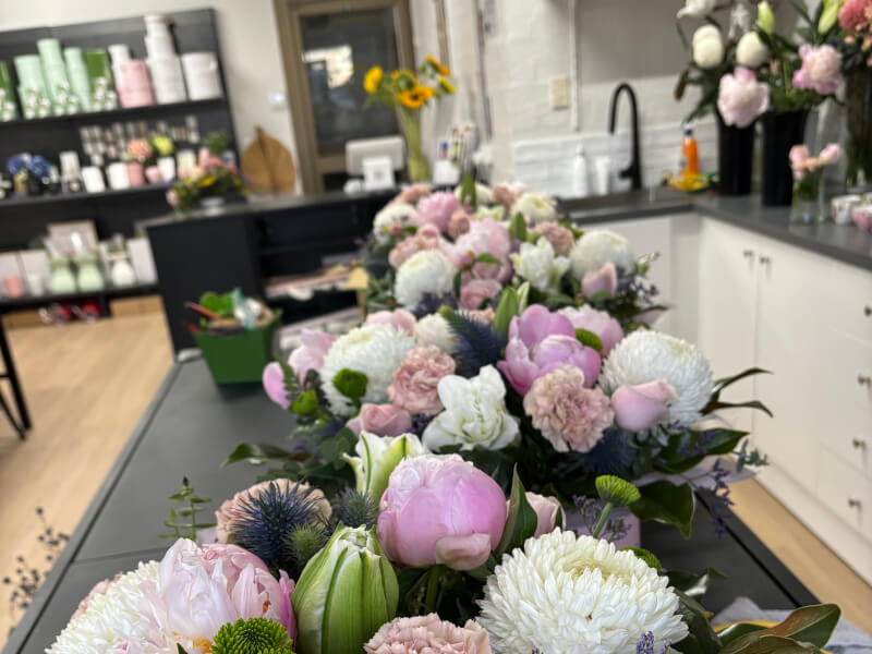 Bunty and Fuzz Design Studio