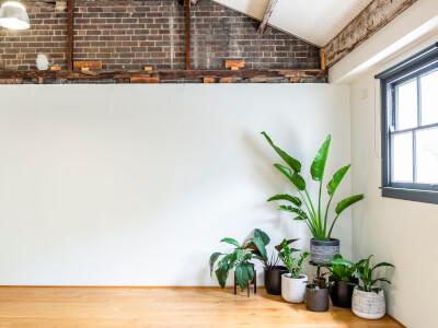 Cohouse Studios