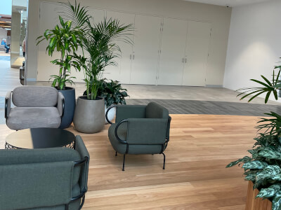 Creative Space - Westfield Knox Shopping Center