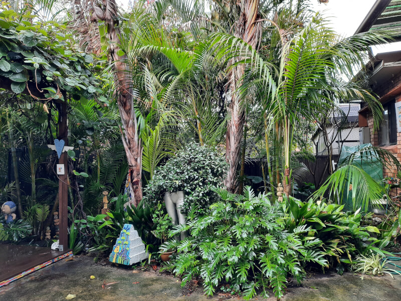 Creativity Wild Classroom class venue