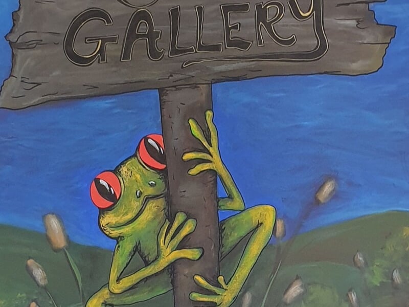 Frog Swamp Gallery