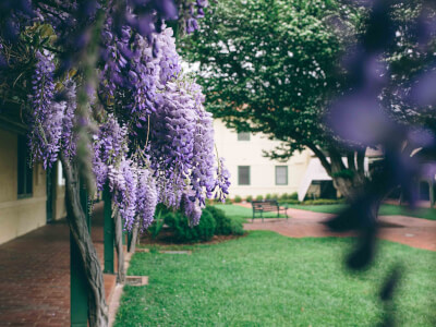 Creative event venue