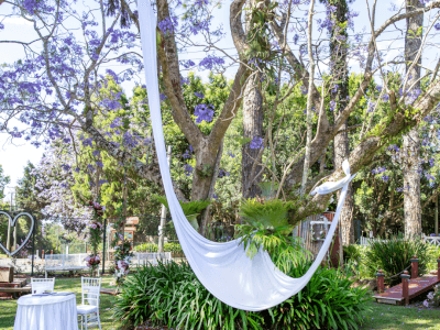 Book Grand Chameleon Tamborine Mountain