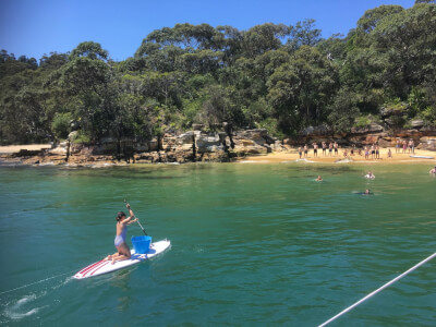 Harbourcat Cruise Boat available for workshops