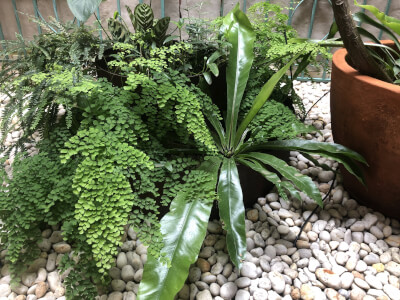 INTO-ARTS Studio + Gallery class venue