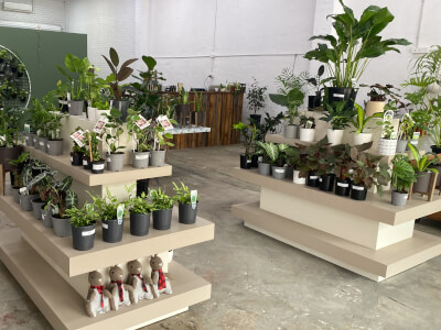 K Serra - Urban Greenspace