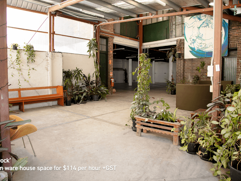 Lush Green Warehouse Space, Glebe