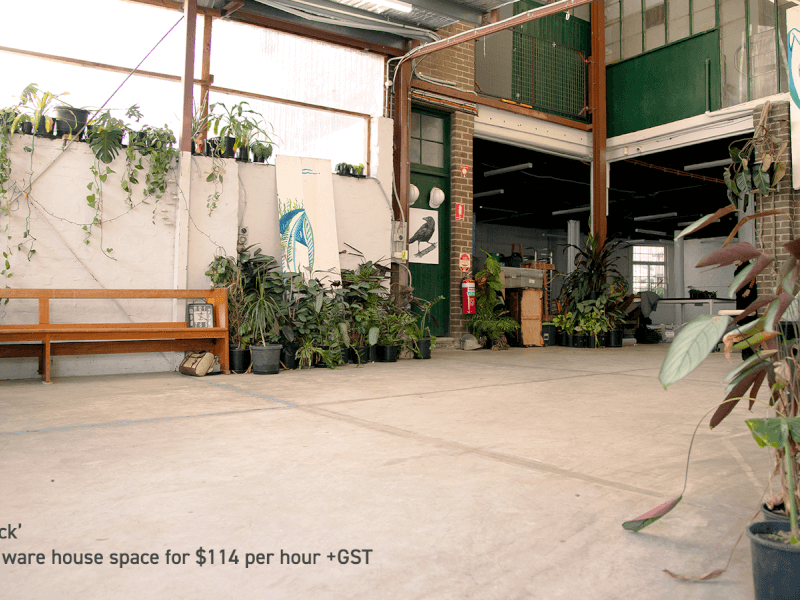 Lush Green Warehouse Space, Glebe