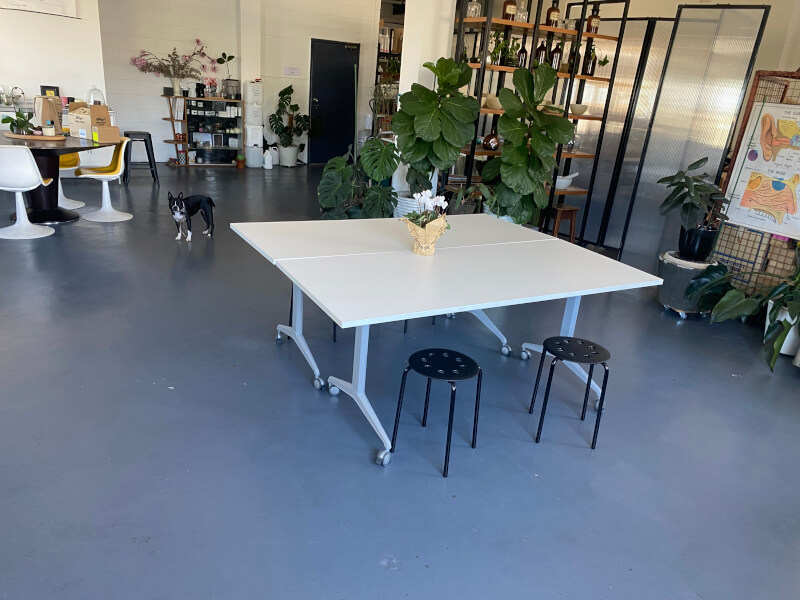 Marrickville Artist and Workshop Studio Gallery Open Plan Beautiful Light