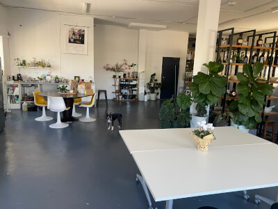 Marrickville Artist and Workshop Studio Gallery Open Plan Beautiful Light available for workshops