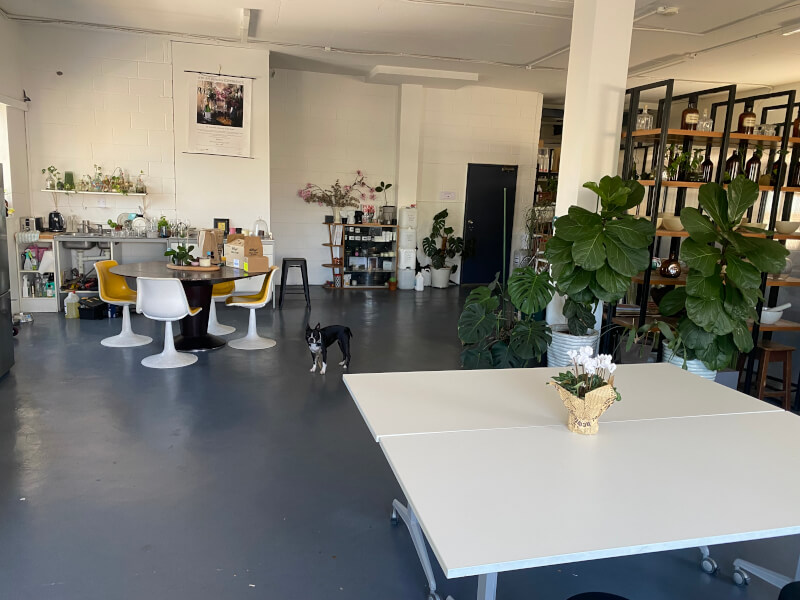 Marrickville Artist and Workshop Studio Gallery Open Plan Beautiful Light