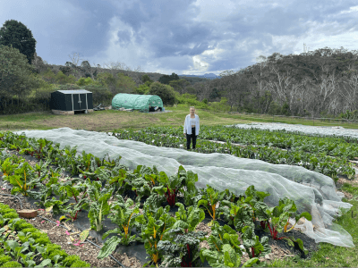 Mountains Gourmet Market Garden