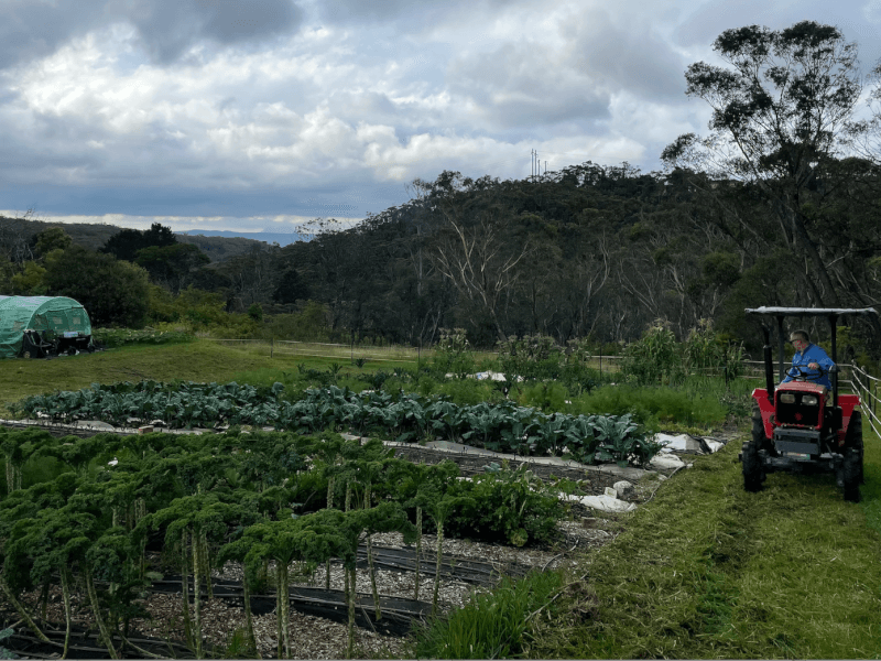 Mountains Gourmet Market Garden