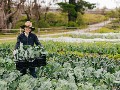 Mountains Gourmet Market Garden available for workshops