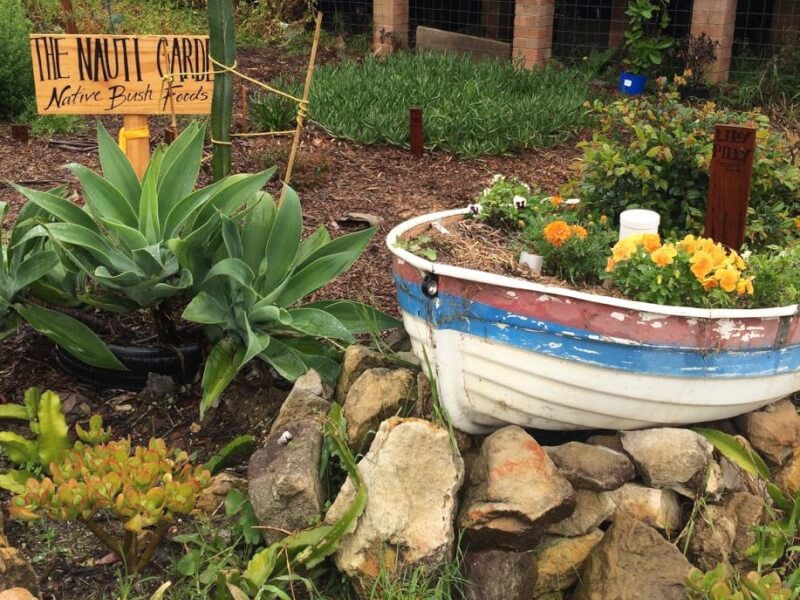 Nauti Studios Blue Mountains