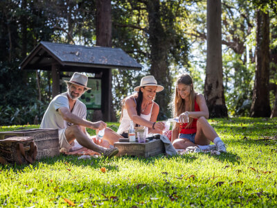 Book Peddly Picnics