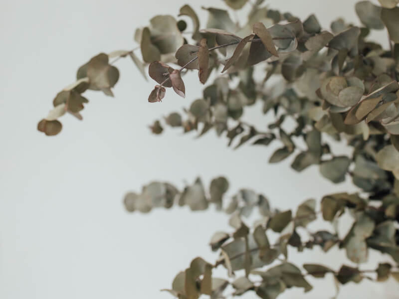 Creative event venue