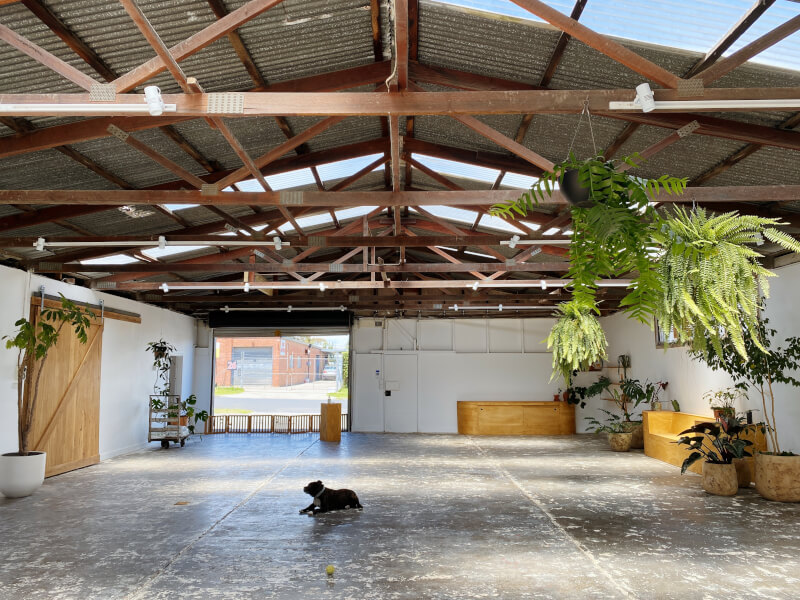 Stoker Studio