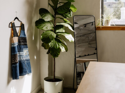 Tailorbird Studios