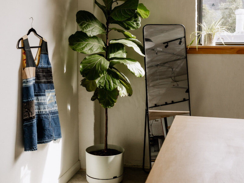 Tailorbird Studios
