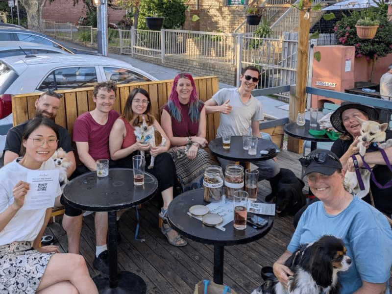 Book The Dogs Bar