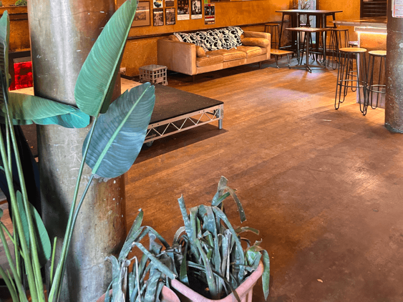 The Dogs Bar