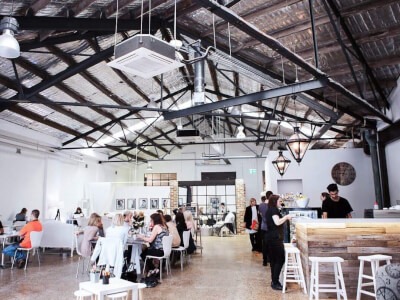 The Freedom Hub