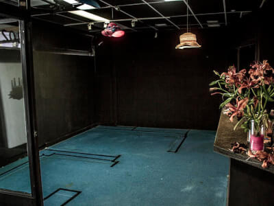 The stage