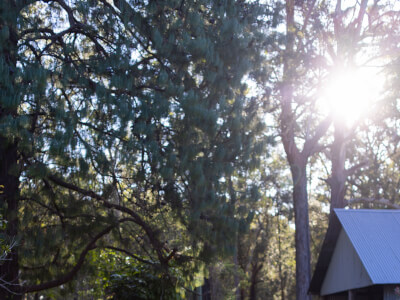 Thrive Retreats