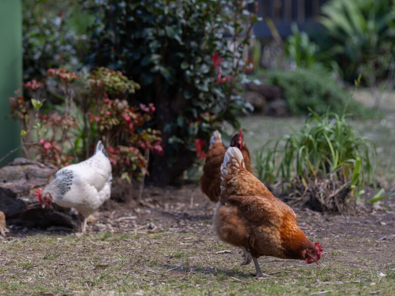 Thrive Retreats available for workshops