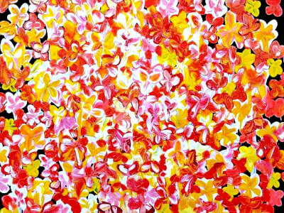 TOP END ART Gallery available for workshops