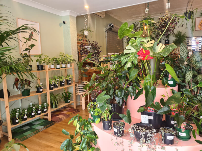 Wattle & Bee Workshop Room
