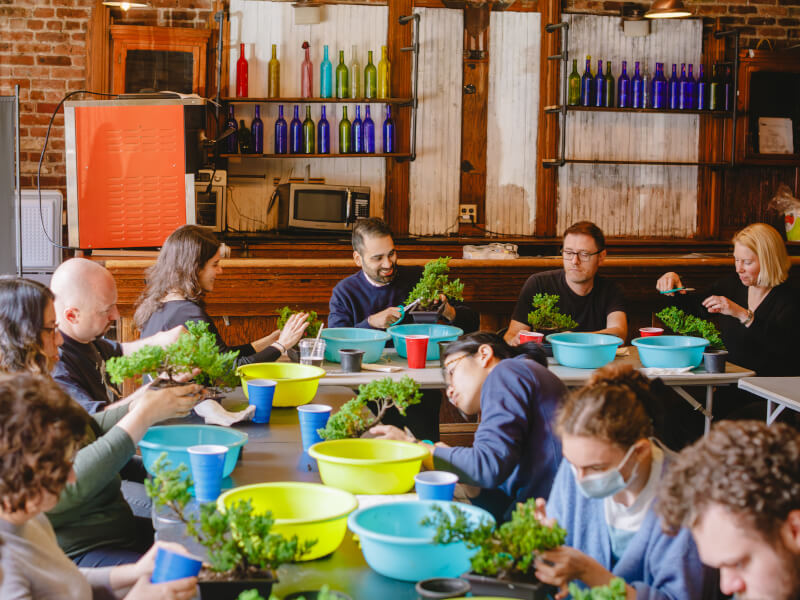 People making bonsai