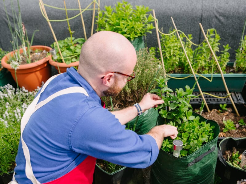 Man gardening
