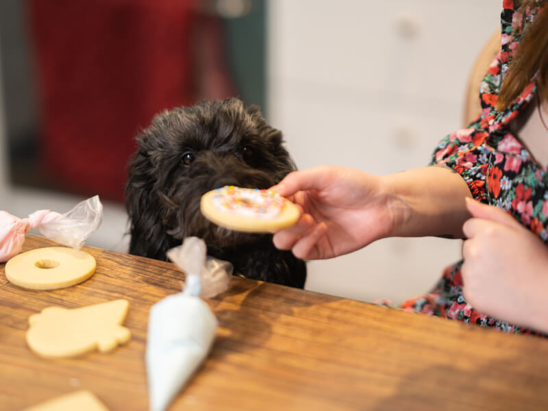 cookie decorating indoor activities