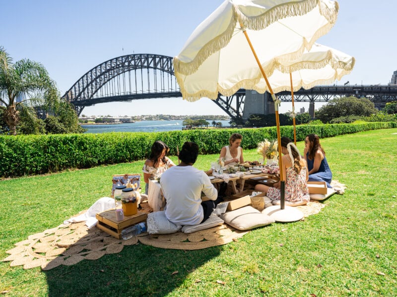 Group of people having a picnic