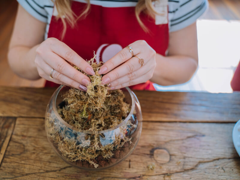 A teen getting her hands dirty at a terrarium class