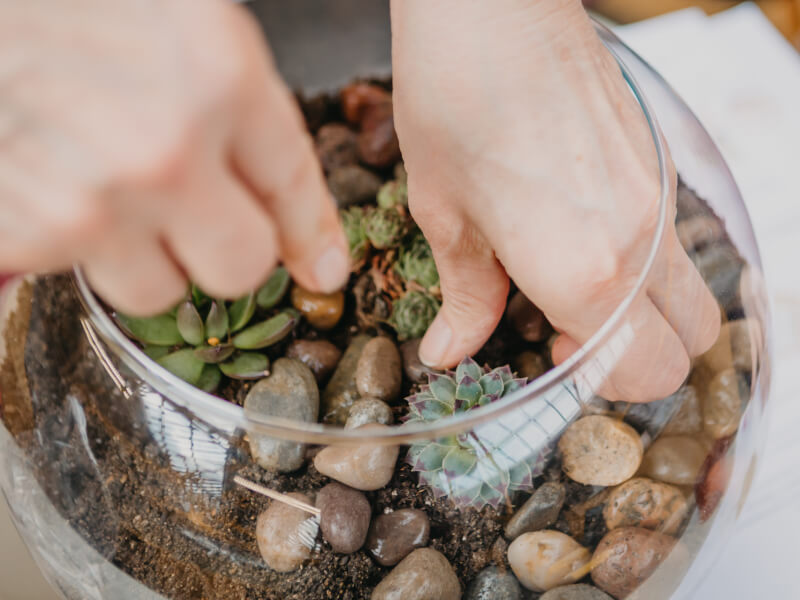 Hands reaching into a terrarium bowl to plant cactus