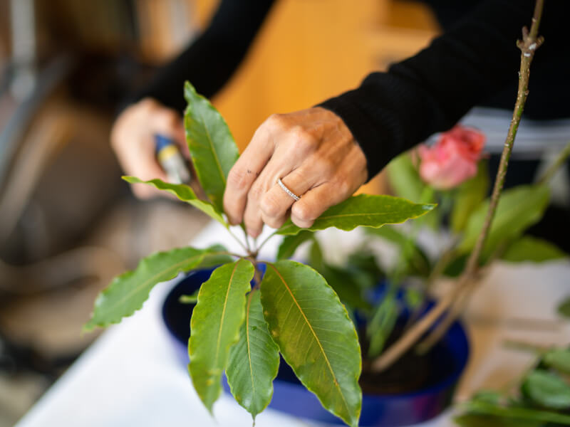 Japanese flower arranging