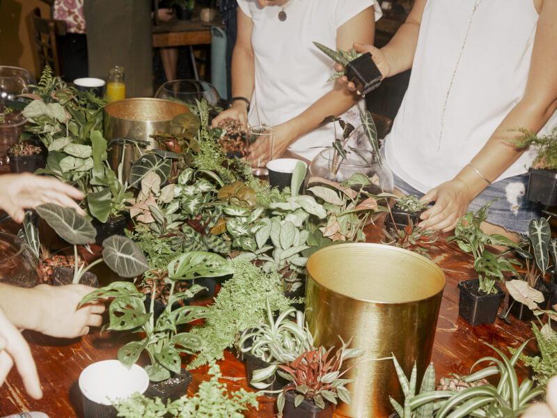 DIY terrarium