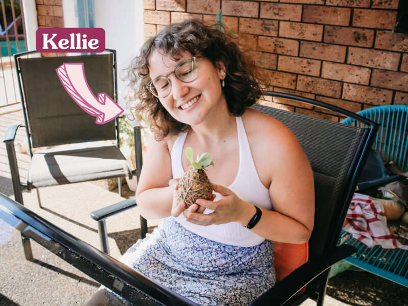 kokedama making for beginners