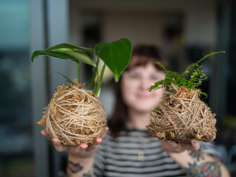 holding up two DIY kokedama