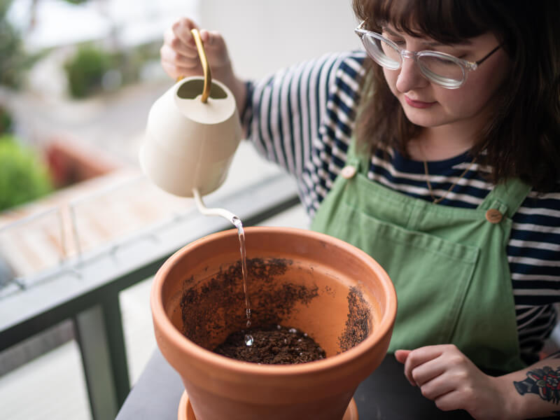 woman watering plant pot