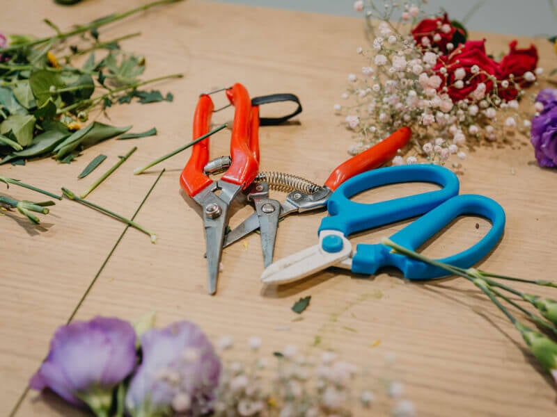 Scissors and flower cuts on a bench