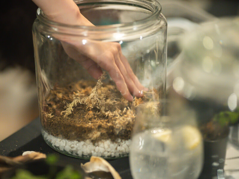 building a terrarium