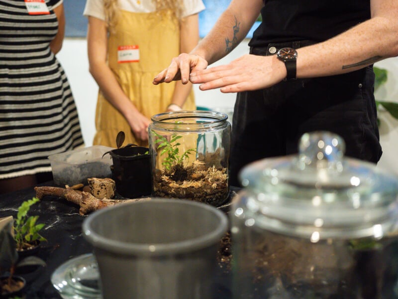 making a terrarium