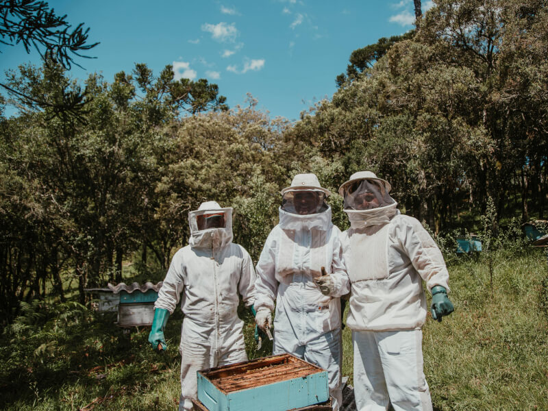 Three people in beekeeping suits with trees in background