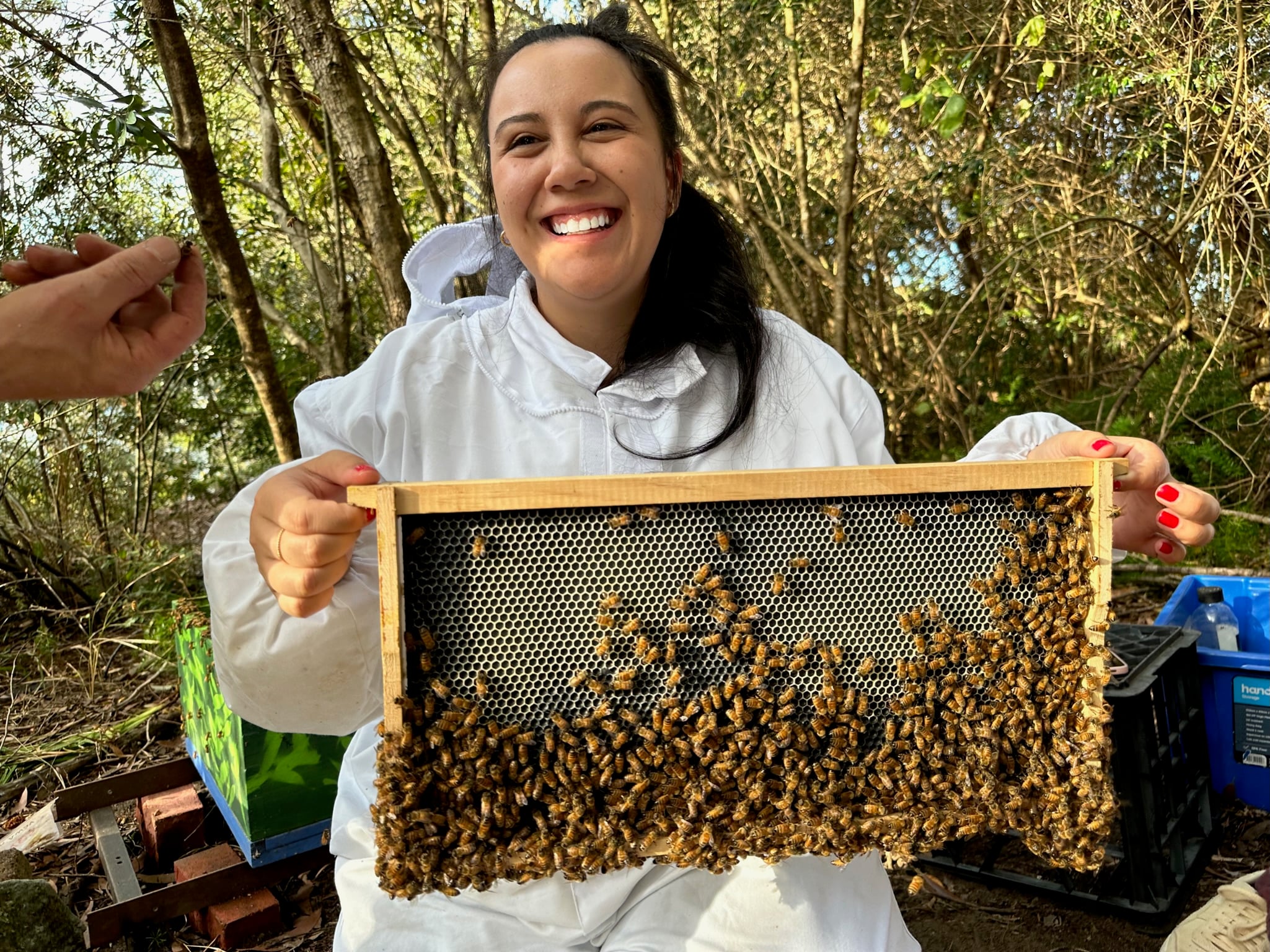Woman holding a bee hive tray