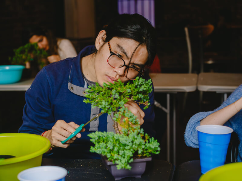 A father enjoys bonsai making for Father's Day