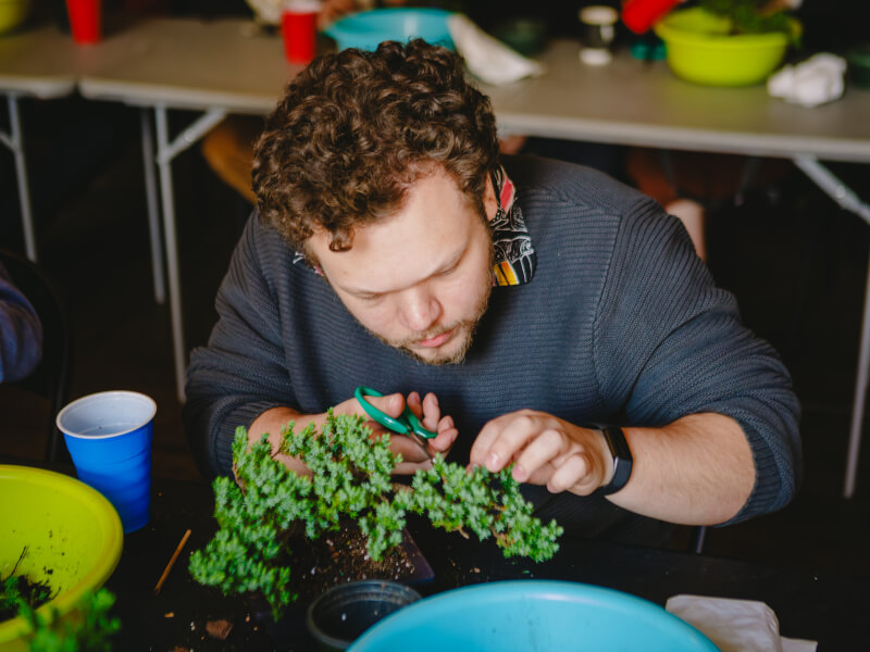 A man focusing on his bonsai at a bonsai class
